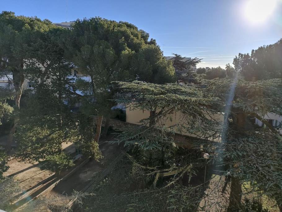 Beau Duplex Vue Mer - Terrasse - Garage - Wifi Σετ Εξωτερικό φωτογραφία